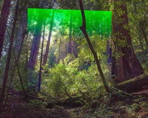 forest-green-square-overlay